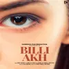 About Billi Akh (feat. Danoda Ala Aman) Song